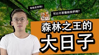 老虎的大日子？老虎需要被我們保護嗎？| 硬塞智庫 Inside Think Tank