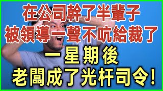 在公司幹了半輩子！被領導一聲不吭給裁了！一星期後！老闆成了光杆司令！#完結爽文#為人處世#生活經驗#情感故事