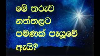 මොකක්ද මේ නත්තල් තරුව ?