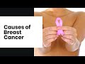 Causes of Breast Cancer