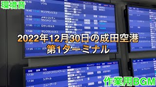 【バイノーラル ZOOM F3】年末の成田空港第1ターミナル 環境音 【2022年12月】