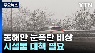 겨울비가 하루만에 폭설로...강원 동해안 눈폭탄 비상 / YTN