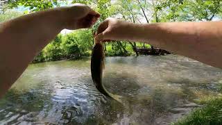 Fishing Broad Run creek Manassas Va