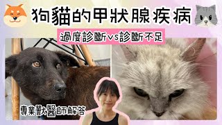 狗狗與貓咪的甲狀腺疾病：過度診斷 vs 診斷不足! (Thyroid Diseases in Dogs and Cats: Overdiagnosis vs Underdiagnosis)