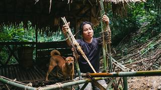 Fishing And Catch And Cook Plus Building A Shelter In The Forest Survival Alone
