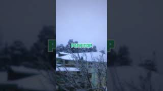 Recent video of Snowfall in Patnitop ❄️ #snow #snowfall #travel #nature #jktoursim