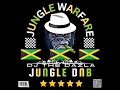 JUNGLE WARFARE LIVE BROADCAST IN THE MIX DJ THE DAZLA