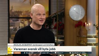 Varannan svensk vill byta jobb – expertens bästa tips | Nyhetsmorgon | TV4 \u0026 TV4 Play