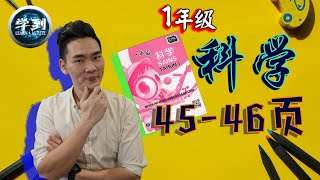 【科学 | 1年级】活动本第45-46页 （吸水和不吸水）|【学到】|  LOUIS