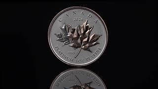 Pure Platinum Coin – Maple Leaf Forever – Mintage: 425 (2024)