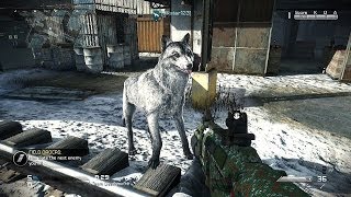 CoD Ghosts FESTIVE Camo & WOLF Guard Dog Skin DLC