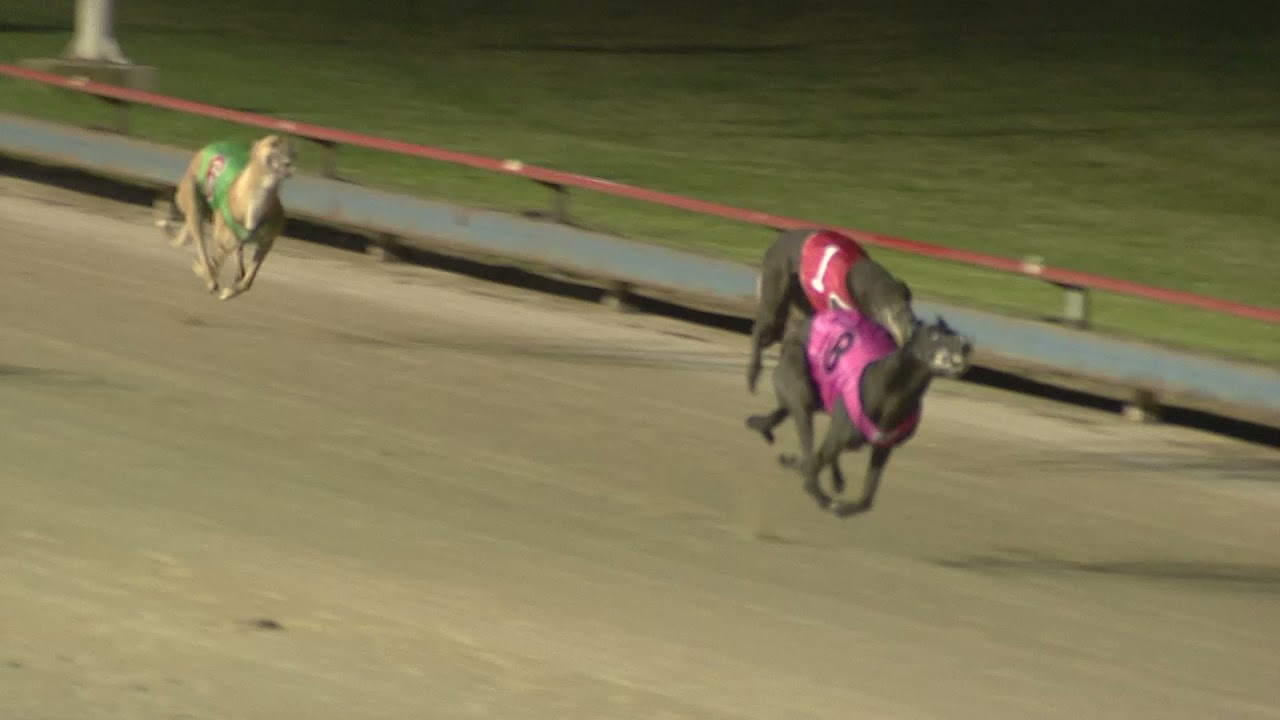 Sle Sun 14 Nov 21 R11 Youtube