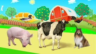 Dierengeluiden Voor Peuters Video 3D | dieren filmpjes boerderij ,dieren filmpjes jungle,wilde