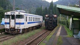 JR九州肥薩線 表木山駅 はやとの風１号と交換待ちのキハ [2015.09.06]