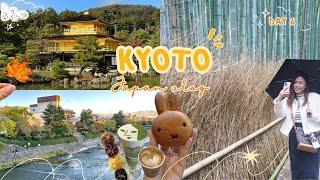 Kansai Vlog 2023.11.13 🇯🇵 Day 6 - Kyoto