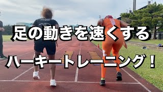 【トレーニング解説】「足の動きを速くする」ハーキートレーニング！