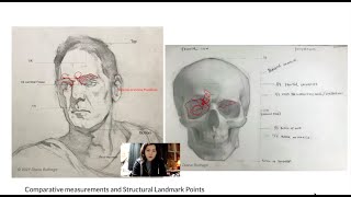 Anatomical Landmark Points for Artist - Planes of the Head and Value Study Demo