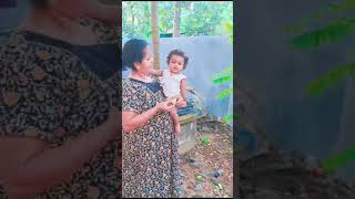 ഇതിന് ഭയങ്കര പുളിയാ കൂട്ടുകാരേ🌳🌳🌳 #youtubeshorts #cutebaby #viral