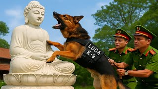Chó Nghiệp Vụ LUCA Nhảy Lên Pho Tượng Phật - Hé Lộ Vụ Án Chôn Sống Gây Rúng Động Cả Nước!