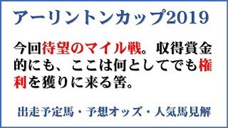 「アーリントンカップ2019」出走予定馬・予想オッズ・人気馬見解