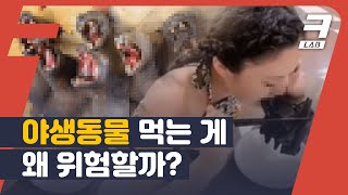 신종 코로나, 사스, 메르스...감염병에는 왜 항상 동물이 끼어있는 걸까?