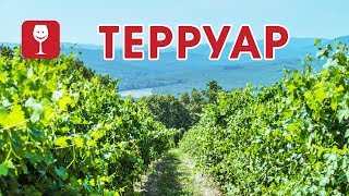 Виноголик. Терруар.