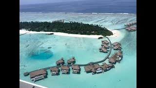 VLOG 13: Travel Diary from COMO Maalifushi, Maldives