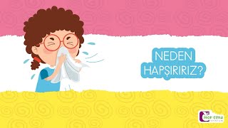 Neden Hapşırırız? - Eğitici Video - Okul Öncesi Eğitim