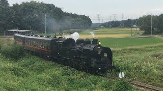 『C11325＋50系客車・快速 SLもおか[6001レ』2018/9/29(真岡鐵道・市塙駅～笹原田駅｢第二笹原田踏切｣) # 真岡鉄道