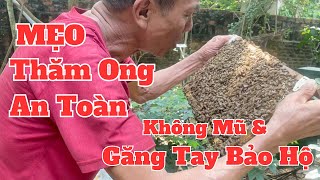 Kỹ Thuật Thăm Ong An Toàn: Cách Hạn Chế Bị Ong Đốt Hiệu Quả