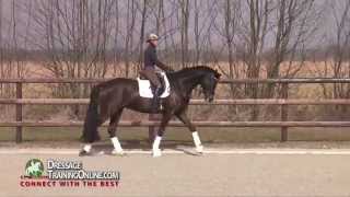 Dressage training by Helen Langehanenberg teaching the benefits of a solid warmup