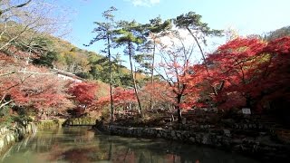 愛知県　岩屋堂公園の紅葉　[HD] [地図あり]