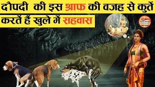 कुत्ते खुले में ही सेक्स क्यों करतें हैं? और चिपके क्यों रहतें हैं? आखिर कुत्तों से क्या गलती हुई?