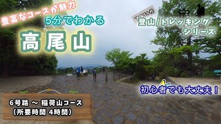 【50代 軽登山】高尾山（6号路〜稲荷山コース）