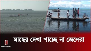 সুনামগঞ্জের হাওরে কমছে দেশী প্রজাতির মাছ | Sunamgonj Haor Fish | Independent TV