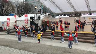 土佐のおきゃく20180304 F 02　菜園場“菜の笑”さ組