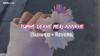 Tumhe Dekhe Meri Aankhe (Slowed × Reverb)