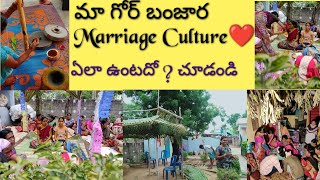 మా గోర్ బంజార లో Marriage Culture ❤️ || My Marriage || Sowjanyaprabhakar ||