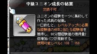 メイプルストーリー　放置でレベルあげ！おすすめユニオン秘薬アイテムを使おう　Maplestory 　메이플스토리 2017