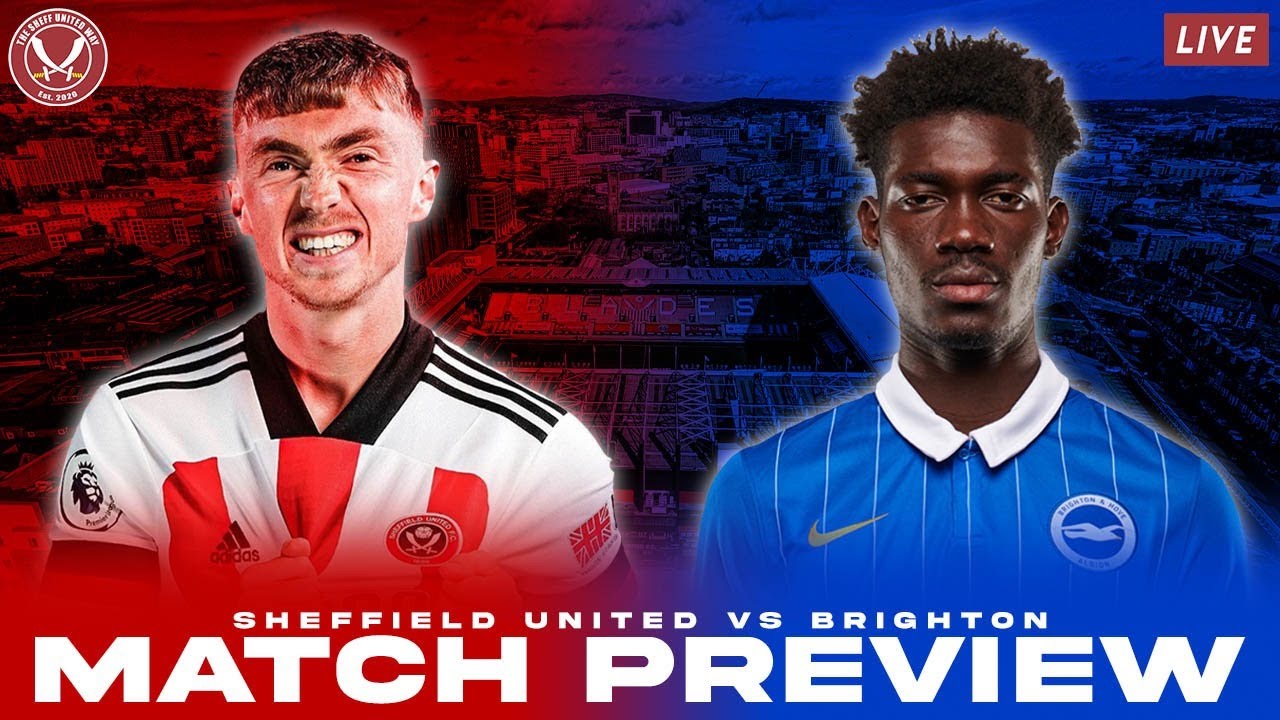 SHEFFIELD UNITED Vs BRIGHTON - MATCH PREVIEW - YouTube