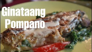 HOW TO COOK GINATAANG POMPANO (FISH with COCONUT MILK RECIPE)