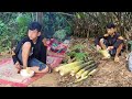 Orphan boy ~ Living in an old abandoned shack, Going to the forest to pick bamboo shoots to sell