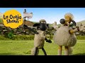 La Oveja Shaun 🐑 Perro con piel de oveja 🐑 Dibujos animados para niños