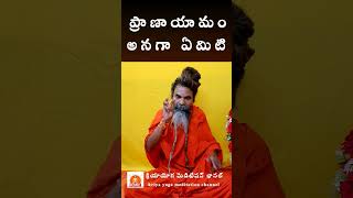 ప్రాణయామము  అంటే ఏమిటి? what is Pranayama? free kriyayoga 9951576619