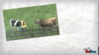 Creative Problem Solving - Part 2