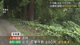 ブナの実が不作...「クマ出没警戒注意報」11月30日まで延長【新潟】UXニュース10月4日OA