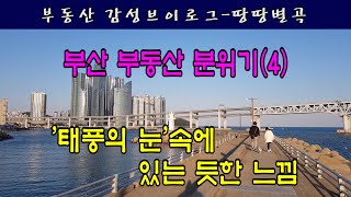 (부산 부동산 현재분위기4)어떻게 될지 불안한 마음에 “태풍의 눈에 있는 듯한 느낌”이라고 제목을 붙였습니다.