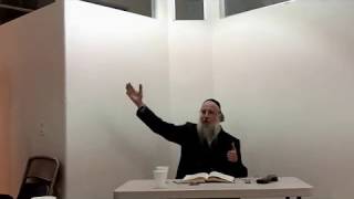 Hilchos Pesach -  Products (5773) by Rabbi Elchonon Tauber