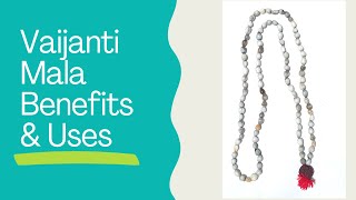 Vaijanti Mala Benefits, Uses, Rules. Buy Original Vaijanthi Mala Online.