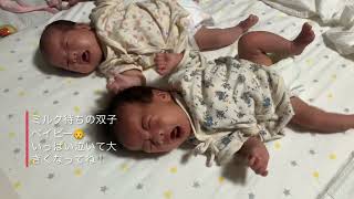 ぎゃん泣きでミルクを要求する双子ちゃん👶💕